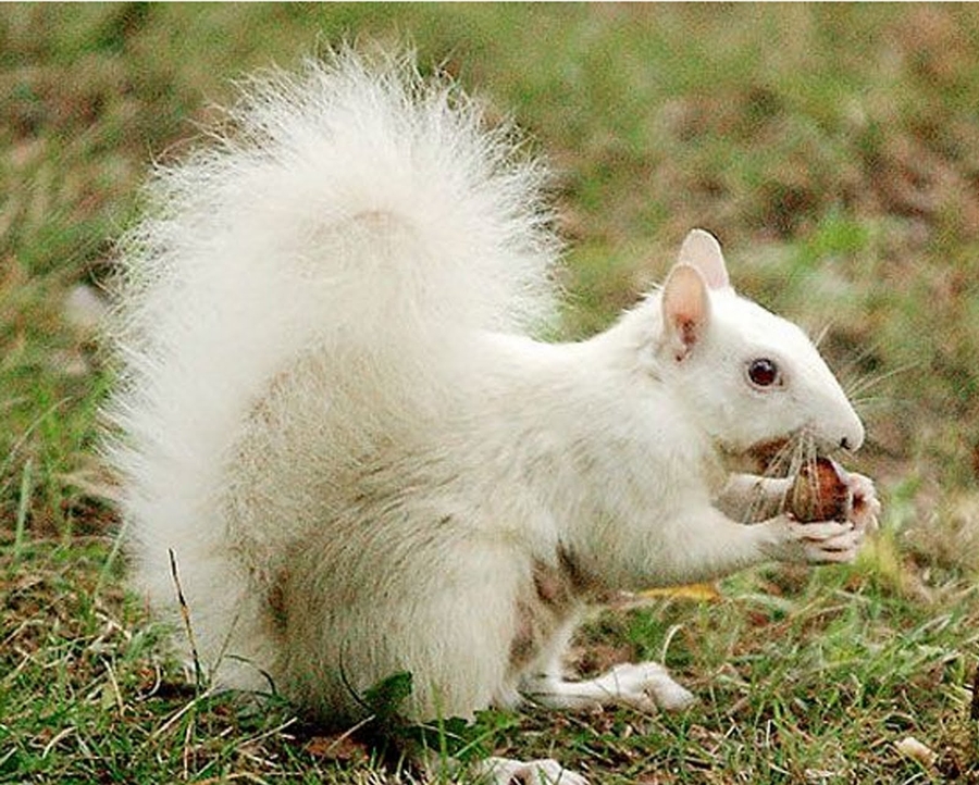 gay dating sites free